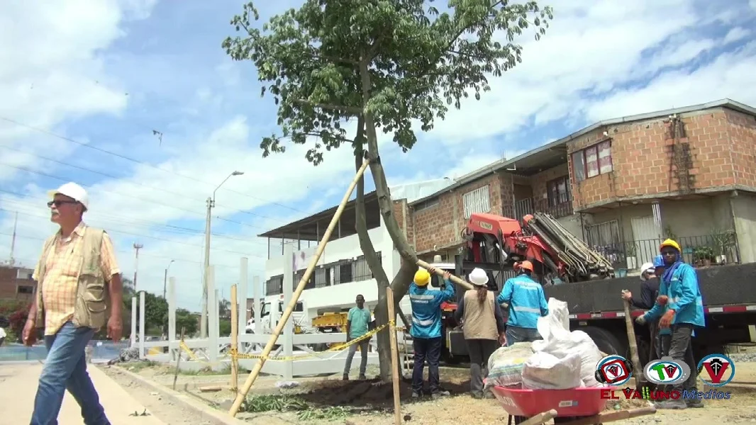 Bulevar de Oriente Recibe Árboles.