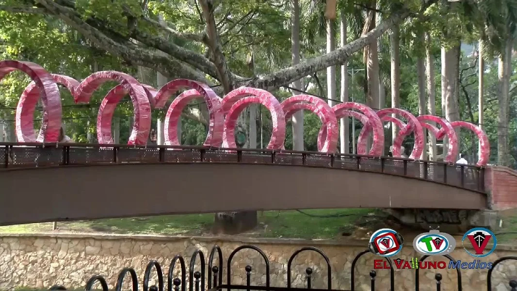 Avanza Alumbrado Navideño.