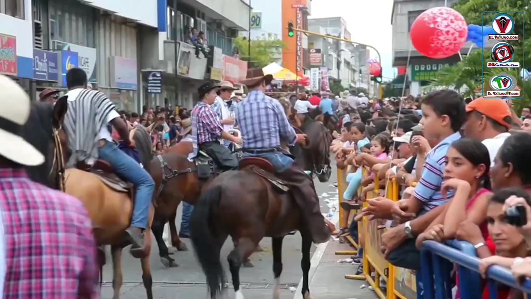 Premios en Anato 2024 para el Valle del Cauca