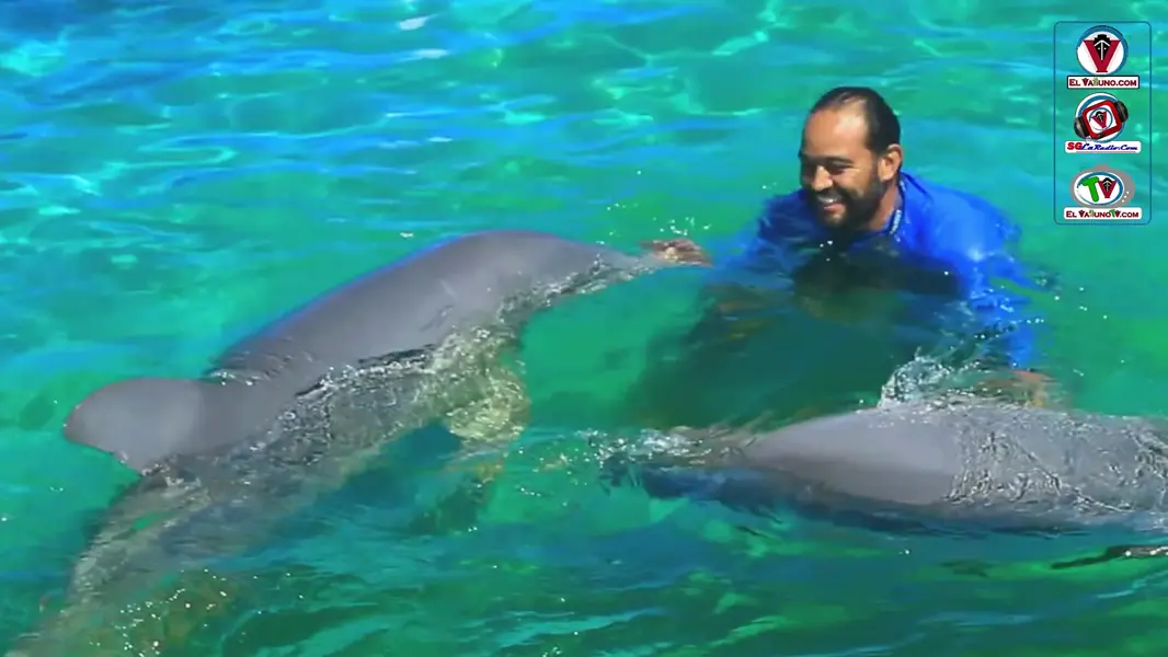 Vive la Experiencia de Waterland Mundo Marino