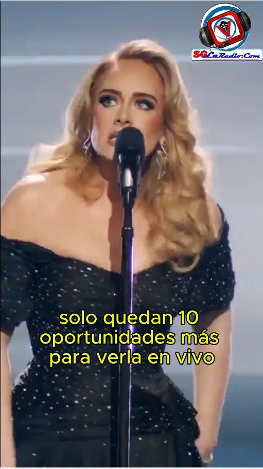 Adele Planea un Receso Musical.