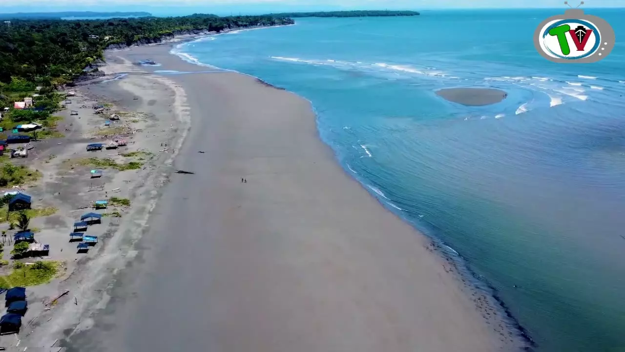 Concierto Ballenas y Cantaoras.