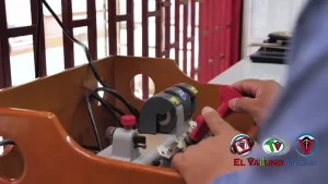 Transforma-t para Crecer y Alistate.