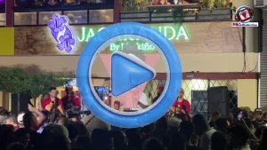 Jacaranda